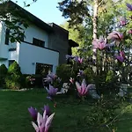 In Near Popular * 塔林