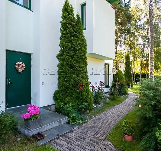 In Near Popular טאלין