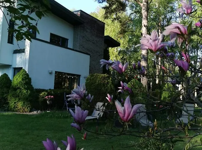 In Near Popular * טאלין