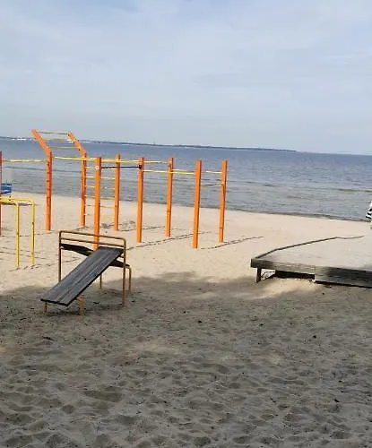 In Near Popular טאלין