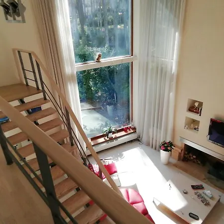 In Near Popular * Tallin