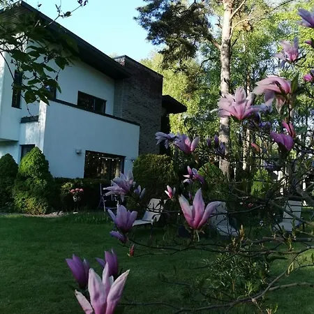 In Near Popular * Tallin