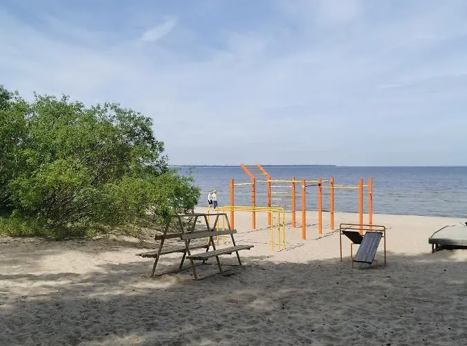 Villa In Near Popular Tallinn